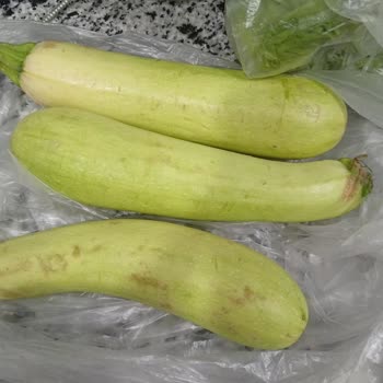 Taze Ürün Talebime Rağmen Bozuk Ve Son Kullanımlı Ürünler Teslim Edildi