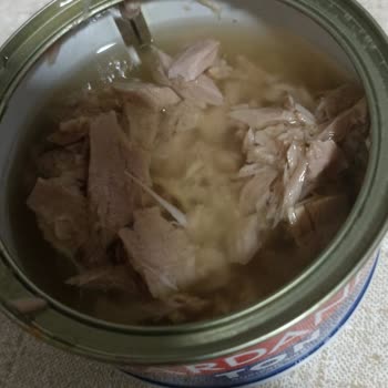 Konservenin İçinden Kılçık Çıktı, Gıda Güvenliği Hayal Kırıklığı