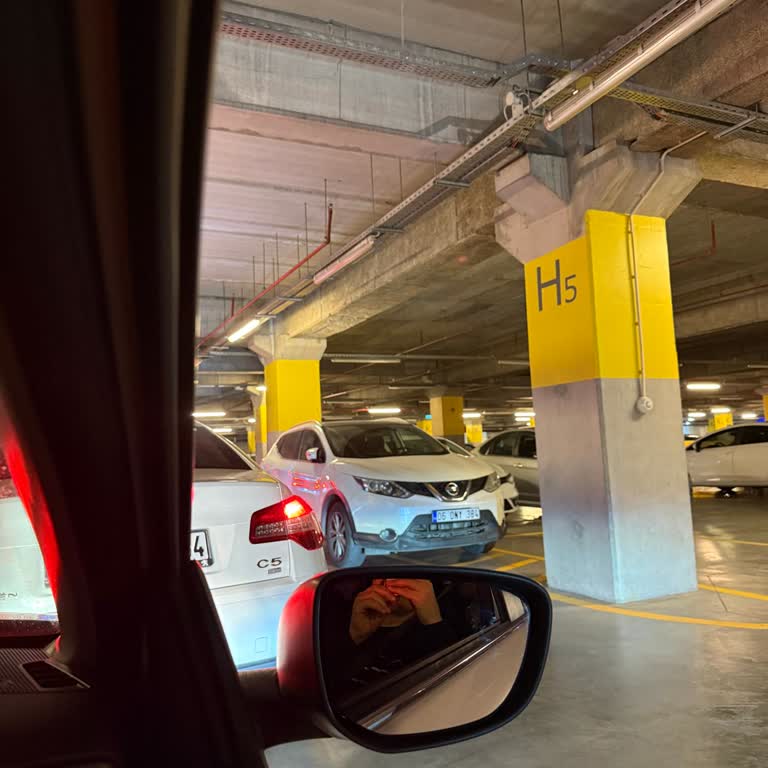 Ankara Anatolium Otoparkında Saatlerce Mahsur Kalmak