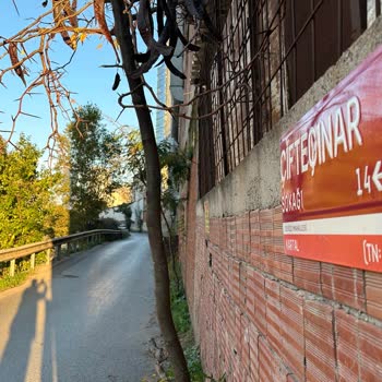 Karanlık Sokakta Güvenlik Endişesi: Aydınlatma Eksikliği