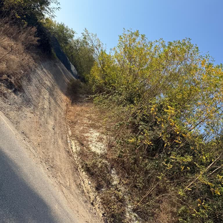 Ordu Büyükşehir Belediyesi Elmaçukuru Köy Mezarlığı'nın Acil Bakım Ve Düzenleme İhtiyacı