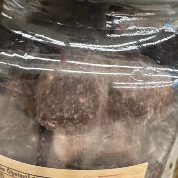 Aldığım Zeytin Kutusunda Küf Ve Bozulma Şoku!