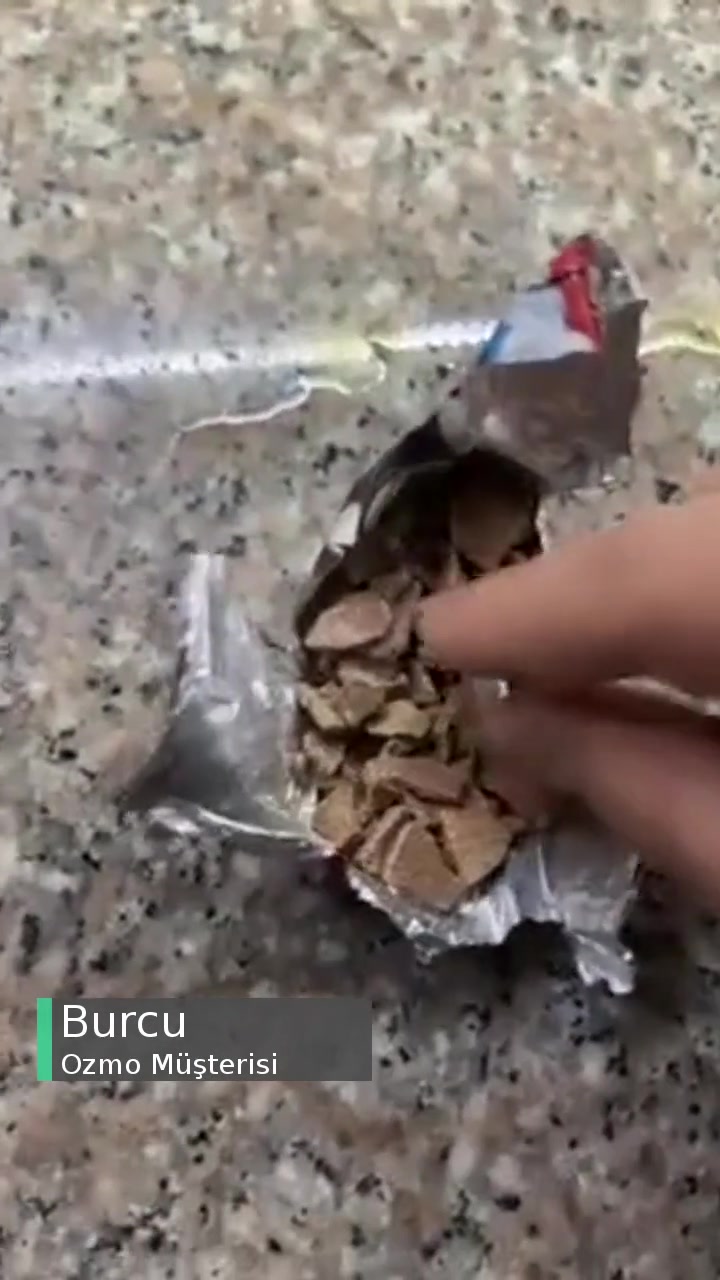 Şölen Ozmo Yumurta Kırık Çıktı! videonun kapak resmi