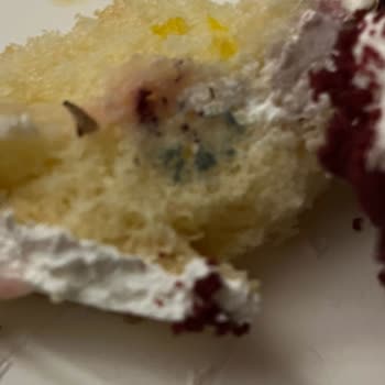 Küflü Pasta Satışı Ve Hijyen Sorunu: Hicaz Pastanesi Sıhhiye Şubesi