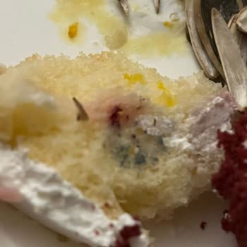 Küflü Pasta Satışı Ve Hijyen Sorunu: Hicaz Pastanesi Sıhhiye Şubesi