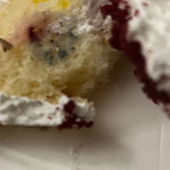 Küflü Pasta Satışı Ve Hijyen Sorunu: Hicaz Pastanesi Sıhhiye Şubesi