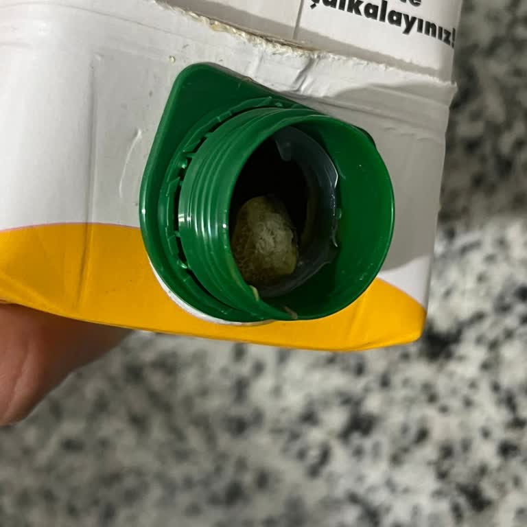 Aldığım Lavi Kayısı Suyunda Küf Şoku Ve Sağlık Riski