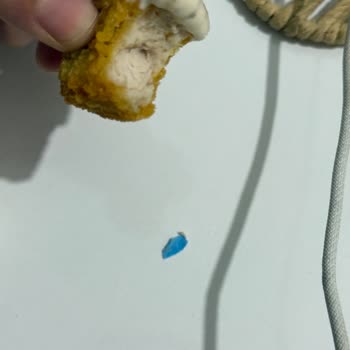 Burger King Chicken Nuggets İçinden Plastik Parça Çıktı: Gıda Güvenliği Endişesi!