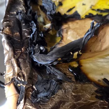 Fırında Balık Pişirirken Pişirme Kağıdı Aniden Alev Aldı