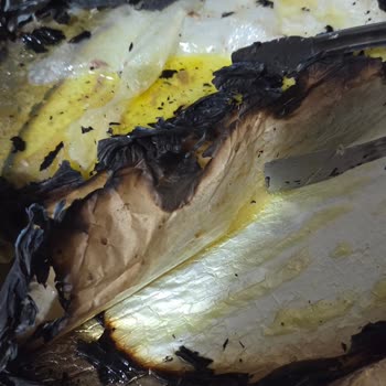 Fırında Balık Pişirirken Pişirme Kağıdı Aniden Alev Aldı