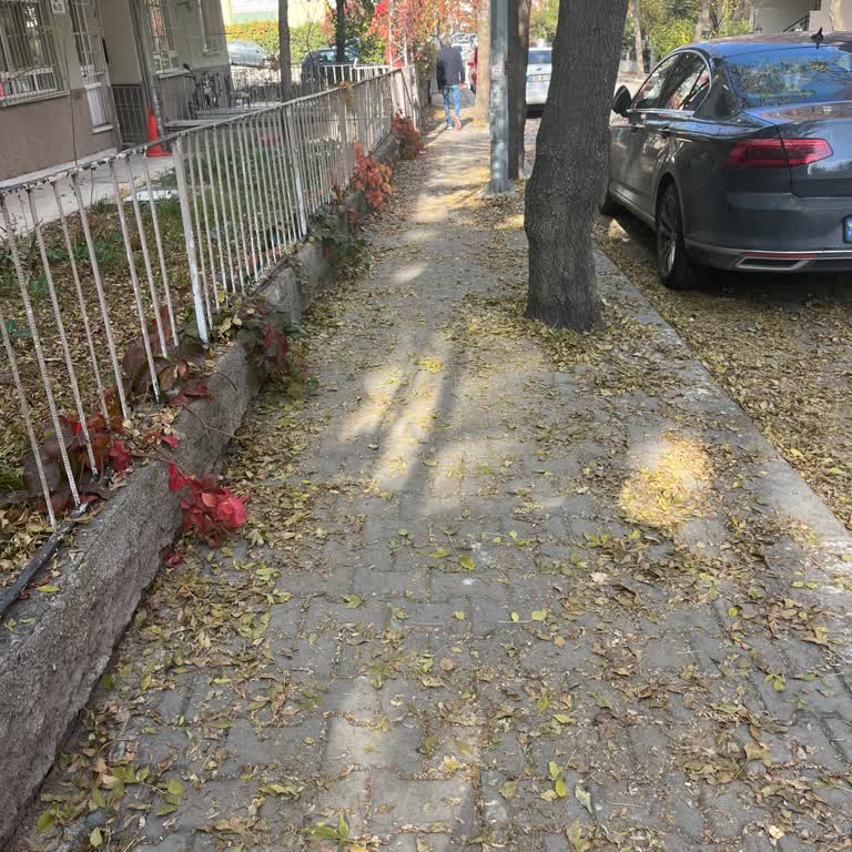 Dikmen Caddesi'nde Temizlik İhmaline Şikayet