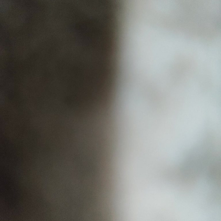 Siparişimde Hijyen Ve Hizmet Sorunları Yaşadım, Mağdur Edildim