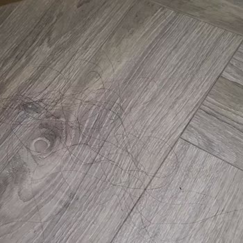Yüksek Ücret, Sıfır Temizlik: Hijyen Sorunu Ve Çözüm Eksikliği