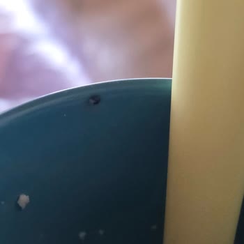 Eti Lifalif Yulaf İçinden Tahıl Biti Çıkması Ve Müşteri Hizmetlerine Ulaşılamaması