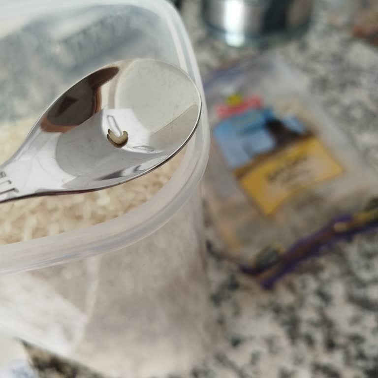 Aldığım Pirinçten Kurt Çıktı, Sağlığımız Tehlikede!