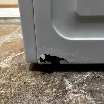 Garanti Süresindeki Beko Çamaşır Makinesinde Çürüme Ve Arıza: Ürün Değişimi Talebi