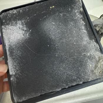 Aynı Model Elektrik Süpürgesinde Farklı Sorun: Değişim Talebim Karşılanmadı