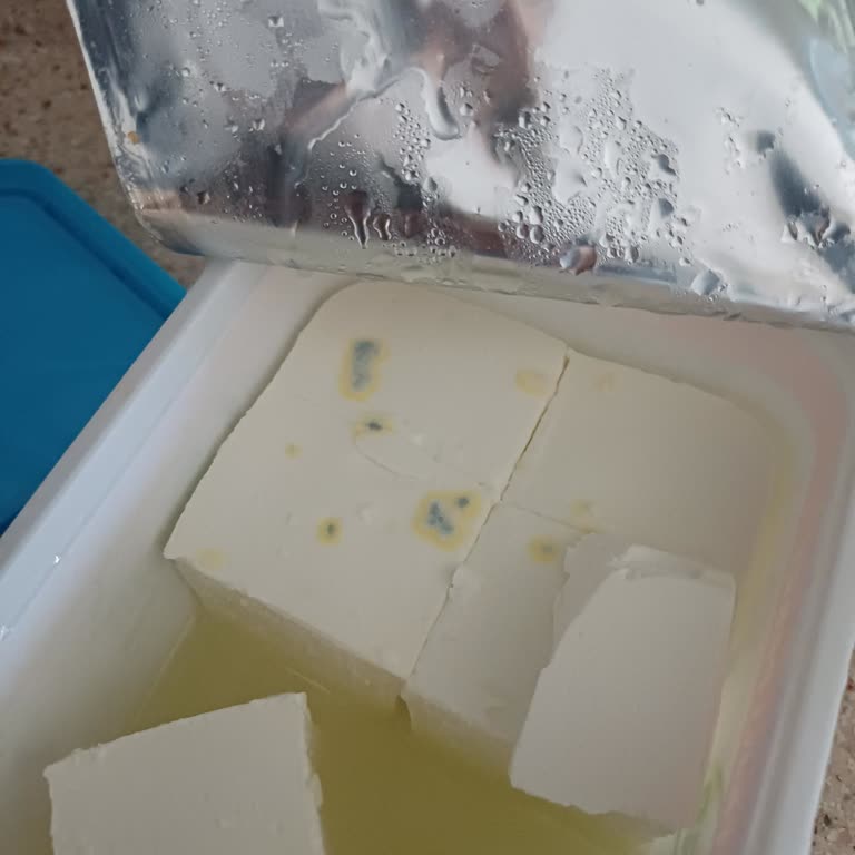 Son Kullanma Tarihi Geçmemiş Peynirim Küflendi!