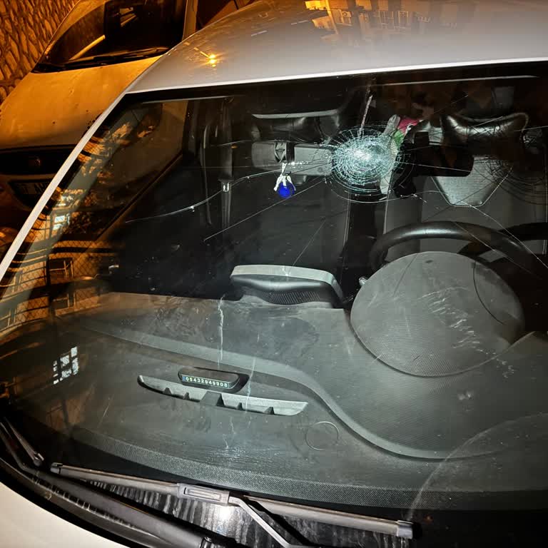 Renault Clio Ön Cam Yedek Parçası Tedarik Sürecindeki Gecikme Ve Mağduriyet