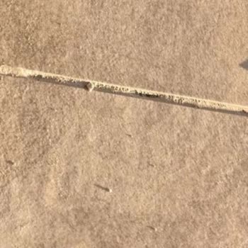 Arma Seramik Satın Aldığım Seramikler Hatalı Çıktı, Aylarca Çözüm Sunulmadı Mağdur Edildim!