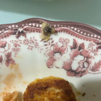 Keskinoğlu Nugget İçinde Yabancı Madde Çıktı, Güven Sorunu Yaşadım