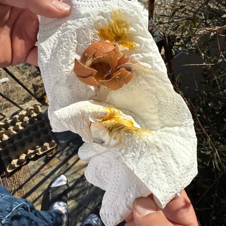 A101'den Aldığım Organik Yumurtalar Bozuk Çıktı, Sağlığımız Tehlikede!