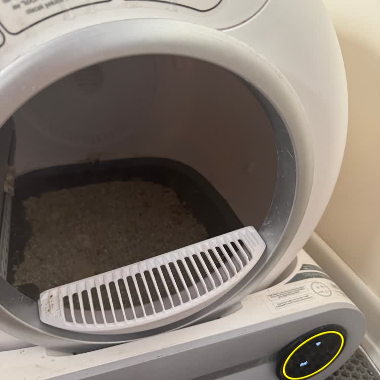 Akıllı Kedi Tuvaleti Sorunu Ve Çözüm Sunmayan Müşteri Hizmetleriyle Mağduriyet