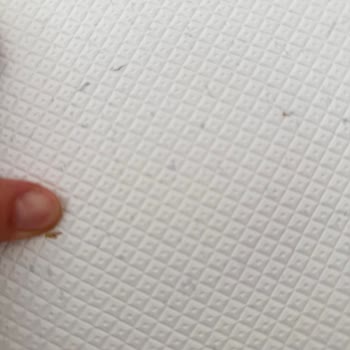 Yeni Alınan Çocuk Oyun Matında Kısa Sürede Soyulma Ve Yetersiz Müşteri Desteği