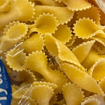 Piyale Fiyonklu Makarna İçinden Kurt Yumurtası Çıktı, Mağaza Çözüm Sunmadı