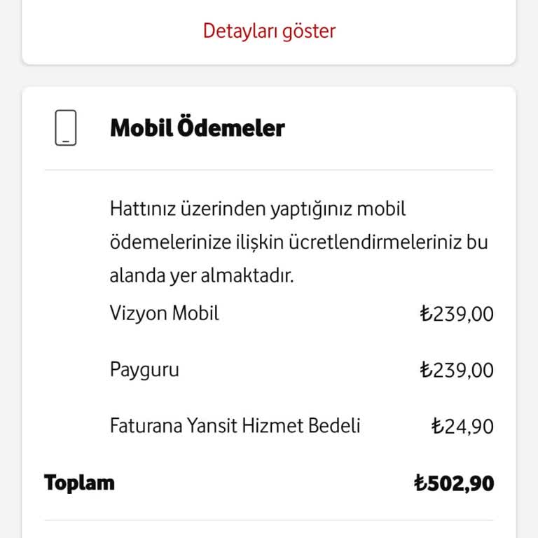 Yanlış Fatura İşlemi Sonrası Eksik İade Sorunu