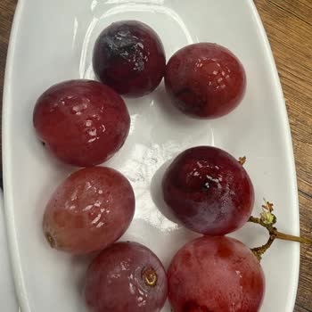 Hijyen Eksikliği Ve İlgisiz Personel Nedeniyle Hayal Kırıklığı