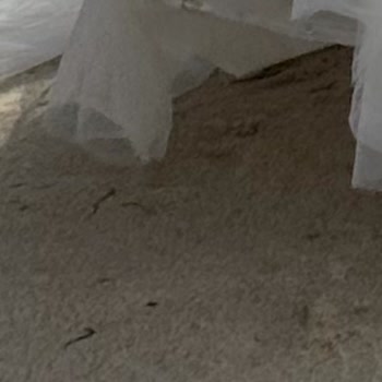 Gelinlik Ve Aksesuarlarında Yaşanan Sorunlar Nedeniyle Düğün Günümde Mağduriyet