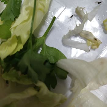 Komagene Bayat Ve Hijyensiz Ürünler, İlgisiz Müşteri Hizmeti