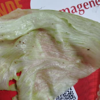 Komagene Bayat Ve Hijyensiz Ürünler, İlgisiz Müşteri Hizmeti