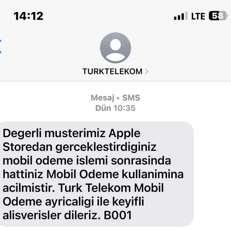 Satın Alınan Elmaslar Oyun Hesabıma Yansıtılmadı