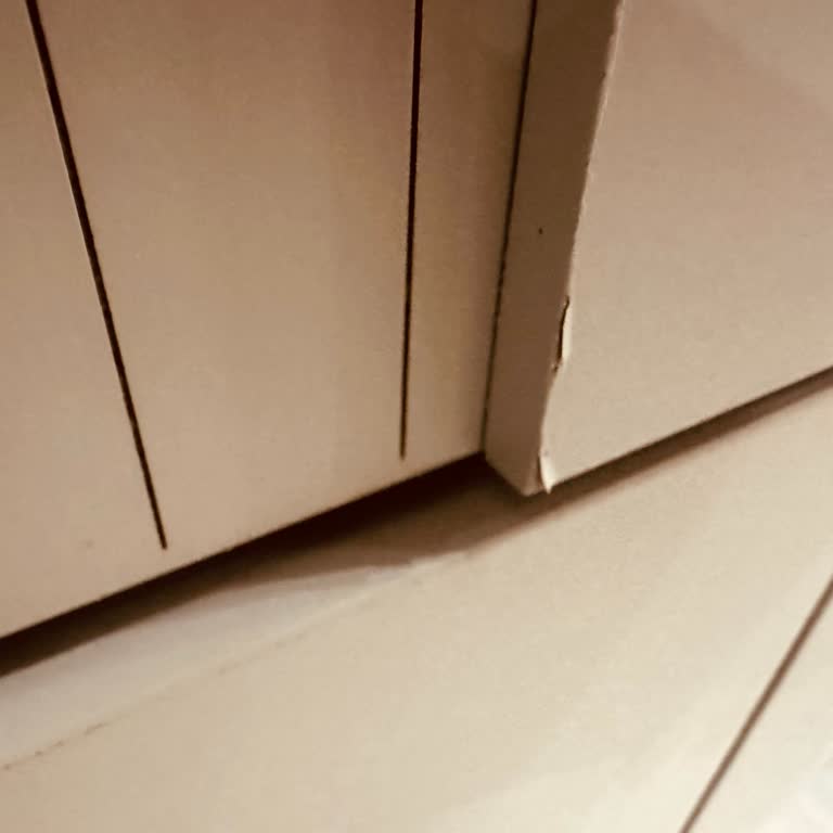 Teslim Edilmeyen Kırlentler Ve Hasarlı Dolap Sorununa Çözüm Bulunmuyor