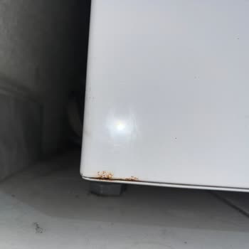 Ariston Refrigerator Under Warranty Showing Mold — Service Refuses to Help
