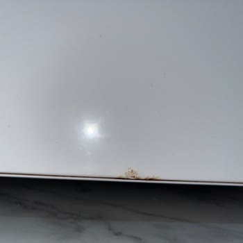 Ariston Refrigerator Under Warranty Showing Mold — Service Refuses to Help