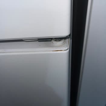 Ariston Refrigerator Under Warranty Showing Mold — Service Refuses to Help