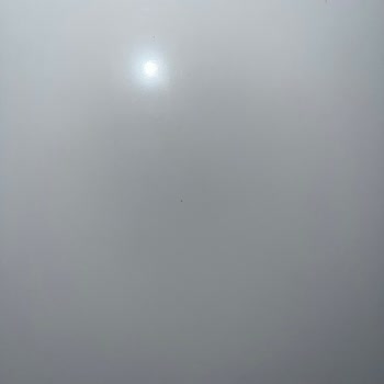 Ariston Refrigerator Under Warranty Showing Mold — Service Refuses to Help