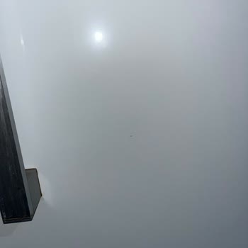 Ariston Refrigerator Under Warranty Showing Mold — Service Refuses to Help