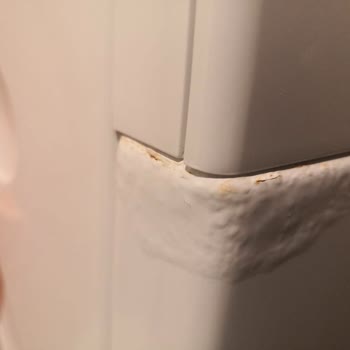 Bosch Çamaşır Makinesinde Kısa Sürede Deterjan Gözü Çürümesi Ve Mağduriyet