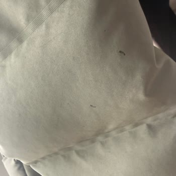 Kuru Temizleme Sonrası Montum Lekelerle Geri Verildi Mağduriyetim Giderilmiyor