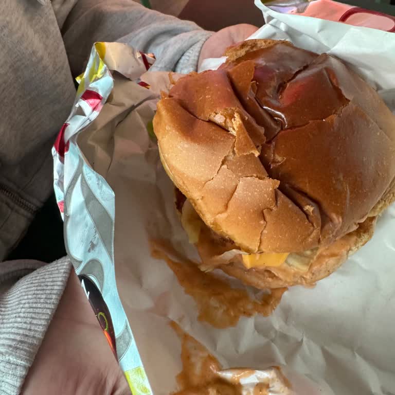 Kaba Davranış, Hijyen Sorunu Ve İlgisizlik: Kudo Kudo’da Hayal Kırıklığı