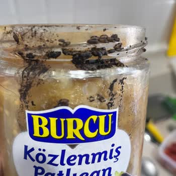 Közlenmiş Patlıcan Konservesinden Ölü Böcekler Çıktı, Ücret İadesi Talep Ediyorum