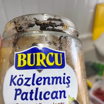 Közlenmiş Patlıcan Konservesinden Ölü Böcekler Çıktı, Ücret İadesi Talep Ediyorum