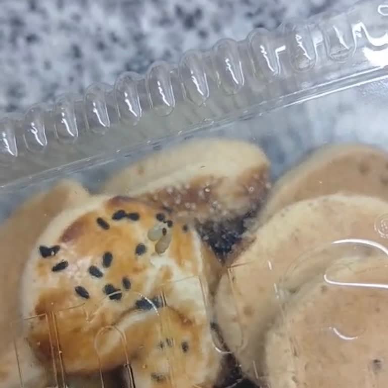 Yunus Market Kuru Pastada Kurt! Hijyen Sorunu Tekrarlıyor