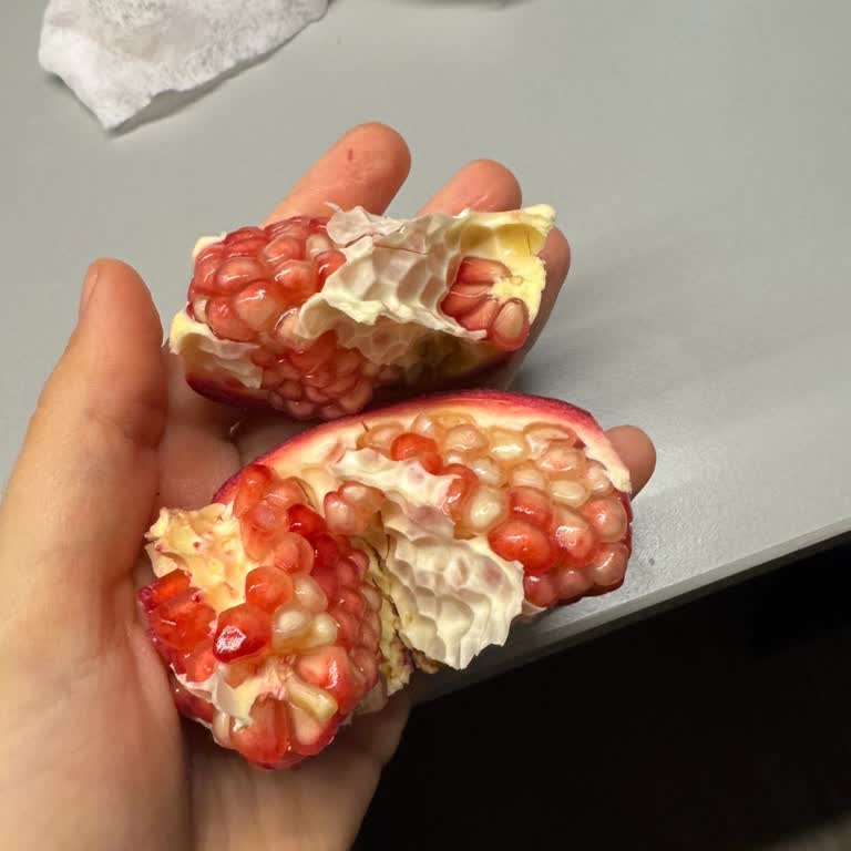 Çürük Ve Bozuk Ürünler, Müşteri Hizmetlerinden Hiçbir Destek Alamadım