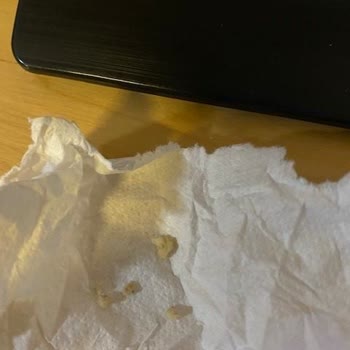 Bisküvi Paketinden Yabancı Cisim Çıktı, Sağlığım Tehlikede!