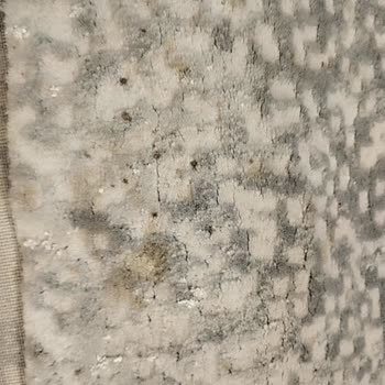 Halılar Temizlenmeden Teslim Edildi, Ücret İadesi Talep Ediyorum